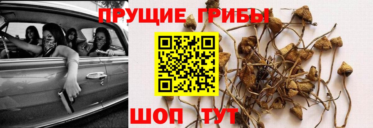 Галлюциногенные грибы Magic Shrooms Нефтекумск